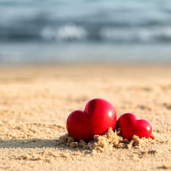 banner-image